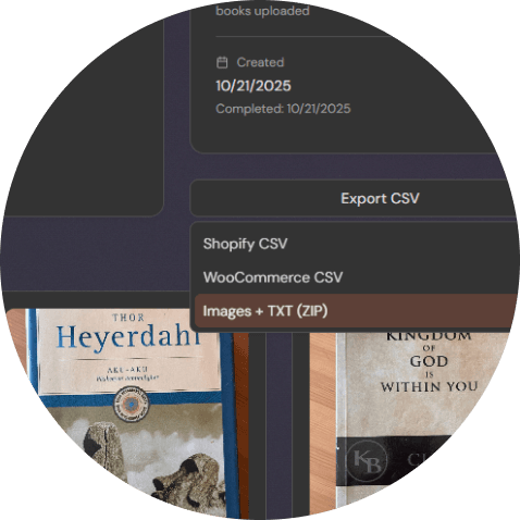 Export books as text file format